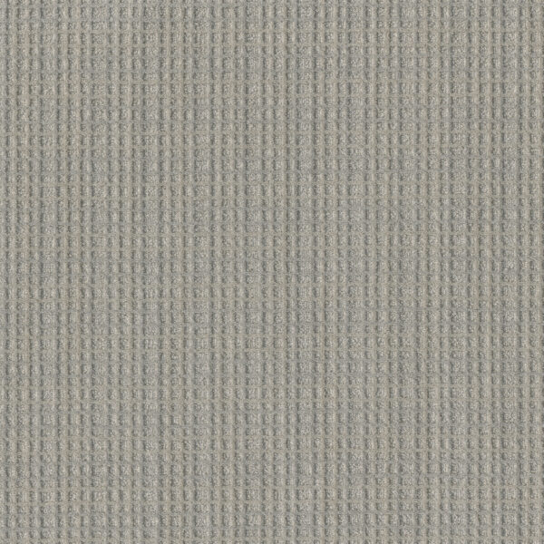 Dreamweaver Carpet Suffolk Johnson Carpet 8910_8150