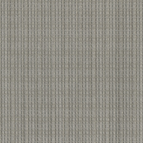 Dreamweaver Carpet Suffolk Oglethorpe Carpet 8910_8337