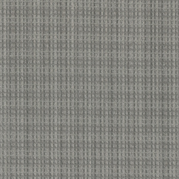 Dreamweaver Carpet Suffolk Reynolds Carpet 8910_8373