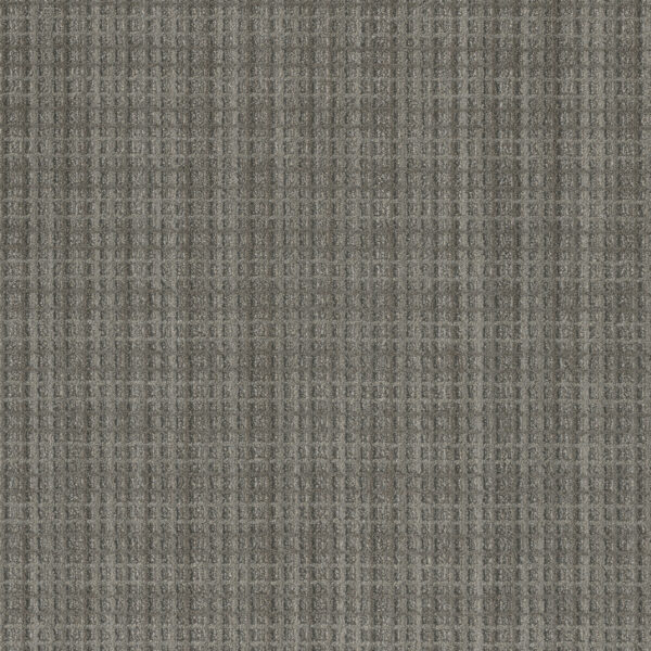 Dreamweaver Carpet Suffolk Telfair Carpet 8910_8421