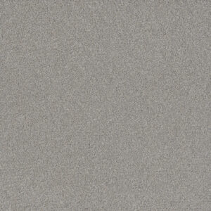 Dreamweaver Carpet All In I Fairway Carpet 9555_2008