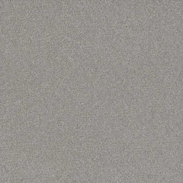 Dreamweaver Carpet All In II Fairway Carpet 9565_2008