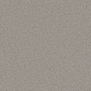 Dreamweaver Carpet All In I Brescia Carpet 9555_2012