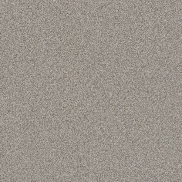 Dreamweaver Carpet All In II Brescia Carpet 9565_2012
