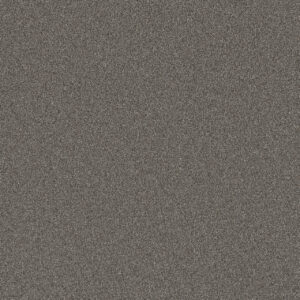 Dreamweaver Carpet All In I Briarcrest Carpet 9555_2038