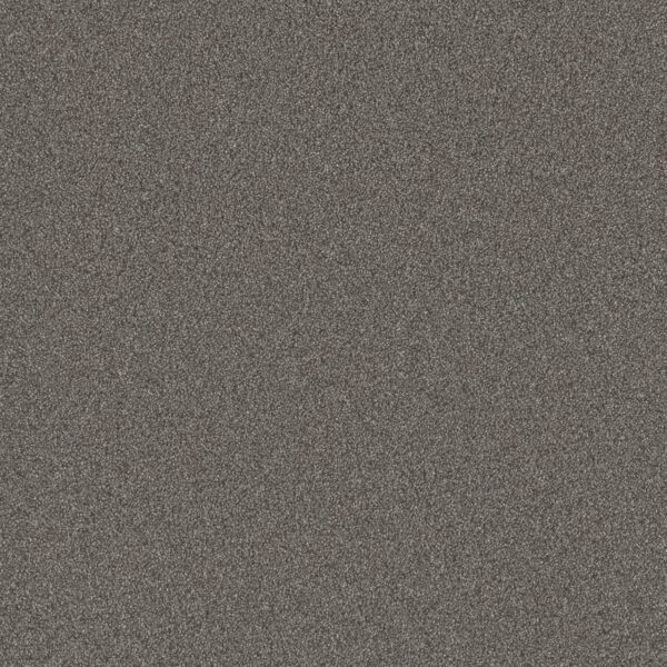 Dreamweaver Carpet All In I Briarcrest Carpet 9555_2038