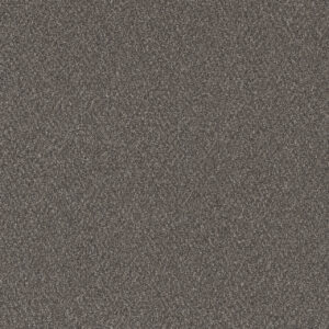 Dreamweaver Carpet All In I Kodiak Carpet 9555_2052
