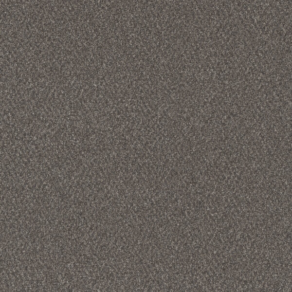 Dreamweaver Carpet All In I Kodiak Carpet 9555_2052