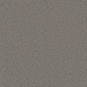 Dreamweaver Carpet All In I Fall River Carpet 9555_2073