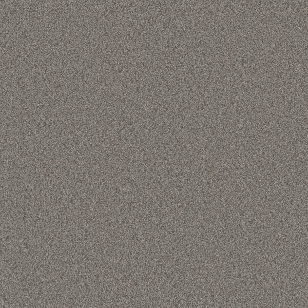 Dreamweaver Carpet All In II Fall River Carpet 9565_2073