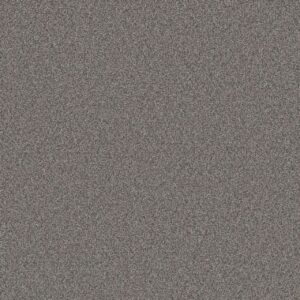 Dreamweaver Carpet All In I Cannon Falls Carpet 9555_2076