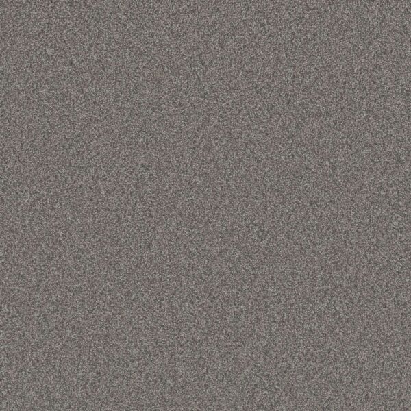 Dreamweaver Carpet All In II Cannon Falls Carpet 9565_2076
