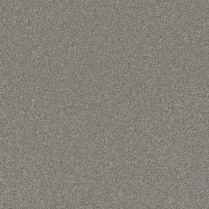 Dreamweaver Carpet All In I Breezy Point Carpet 9555_2105