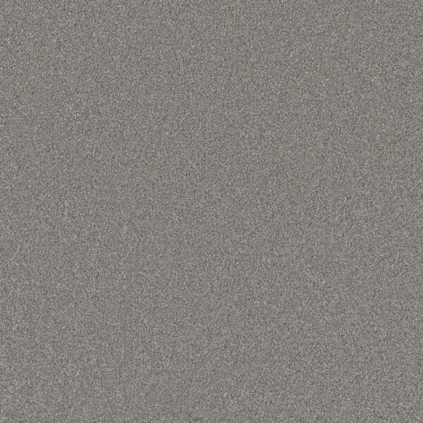 Dreamweaver Carpet All In II Breezy Point Carpet 9565_2105