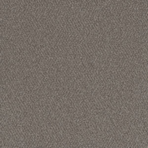 Dreamweaver Carpet All In I Lodgestone Carpet 9555_2225