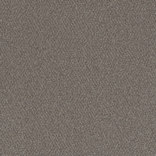 Dreamweaver Carpet All In I Lodgestone Carpet 9555_2225