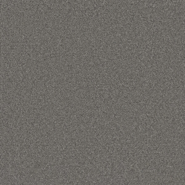 Dreamweaver Carpet All In I Malibu Sky Carpet 9555_2260