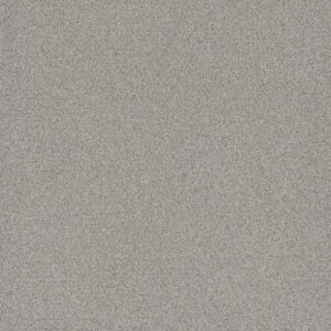 Dreamweaver Carpet All In I Radiance Carpet 9555_2366
