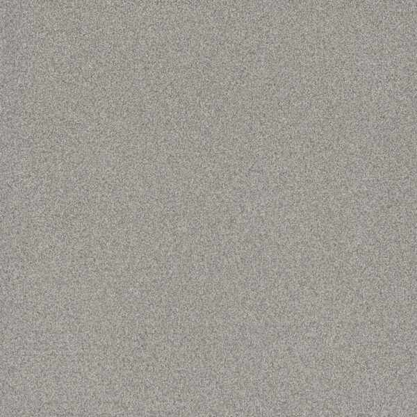 Dreamweaver Carpet All In I Radiance Carpet 9555_2366