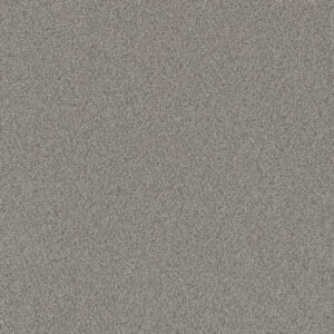 Dreamweaver Carpet All In I Castle Pines Carpet 9555_4050