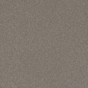Dreamweaver Carpet All In I Fox Chase Carpet 9555_4122