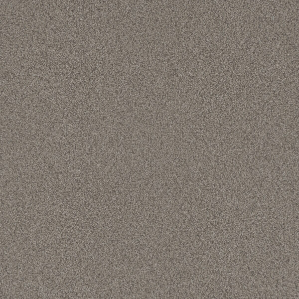 Dreamweaver Carpet All In II Fox Chase Carpet 9565_4122
