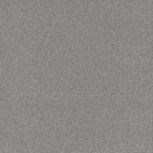 Dreamweaver Carpet All In I Pearl Frost Carpet 9555_4136