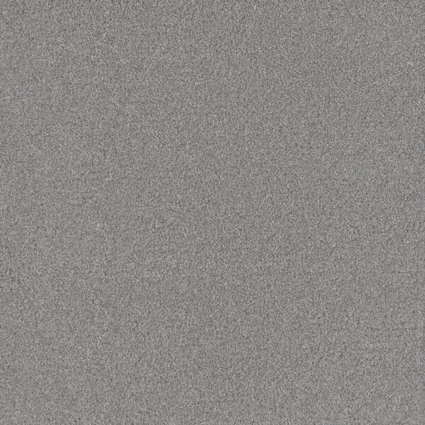 Dreamweaver Carpet All In I Pearl Frost Carpet 9555_4136