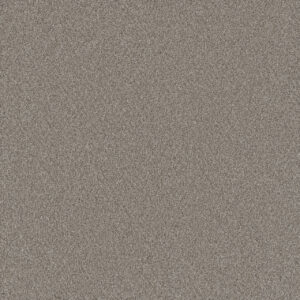 Dreamweaver Carpet All In I Sandy Springs Carpet 9555_5132