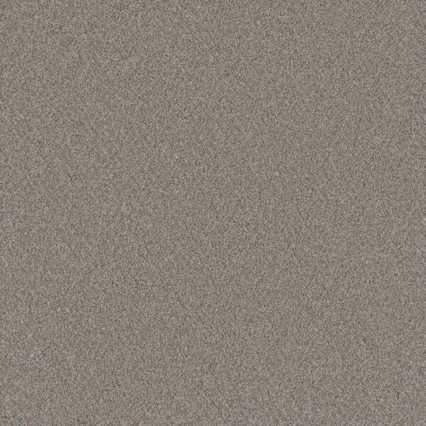 Dreamweaver Carpet All In I Sandy Springs Carpet 9555_5132