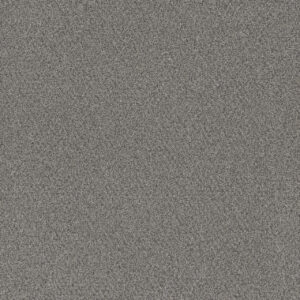 Dreamweaver Carpet All In I Winter Garden Carpet 9555_5153
