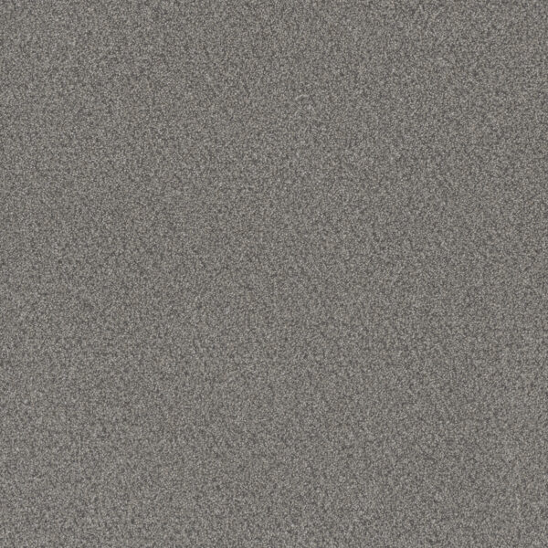 Dreamweaver Carpet All In I Winter Garden Carpet 9555_5153