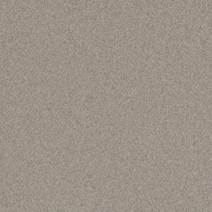 Dreamweaver Carpet All In I Ravenwood Carpet 9555_5183