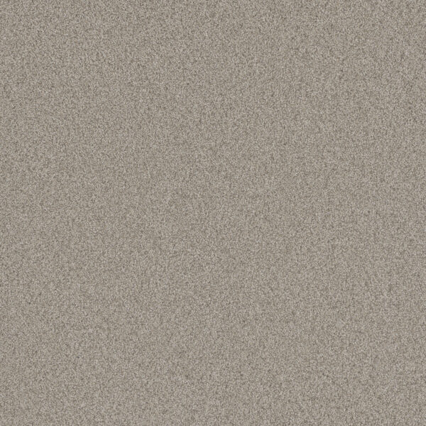 Dreamweaver Carpet All In I Ravenwood Carpet 9555_5183
