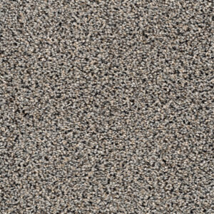 Dreamweaver Carpet Sweepstakes Creek Bend Carpet 2200_317