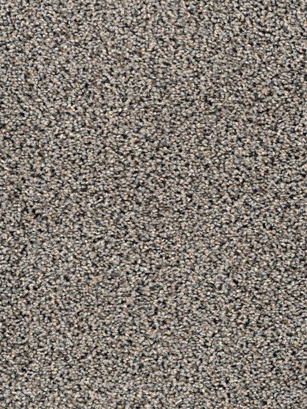 Dreamweaver Carpet Sweepstakes Creek Bend Carpet 2200_317