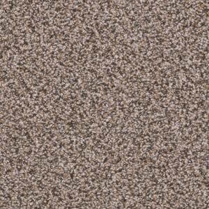 Dreamweaver Carpet Sweepstakes Gingerbread Carpet 2200_390