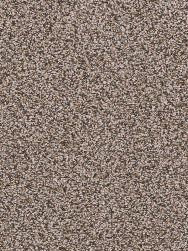 Dreamweaver Carpet Sweepstakes Gingerbread Carpet 2200_390