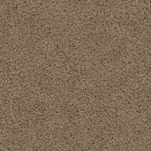 Dreamweaver Carpet Sweepstakes Honey Beige Carpet 2200_510