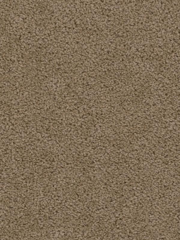 Dreamweaver Carpet Sweepstakes Honey Beige Carpet 2200_510