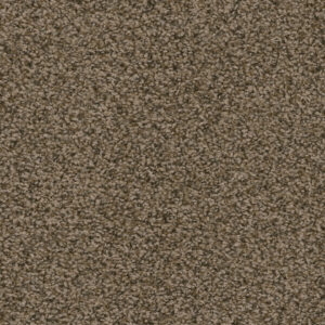 Dreamweaver Carpet Sweepstakes Agate Carpet 2200_512