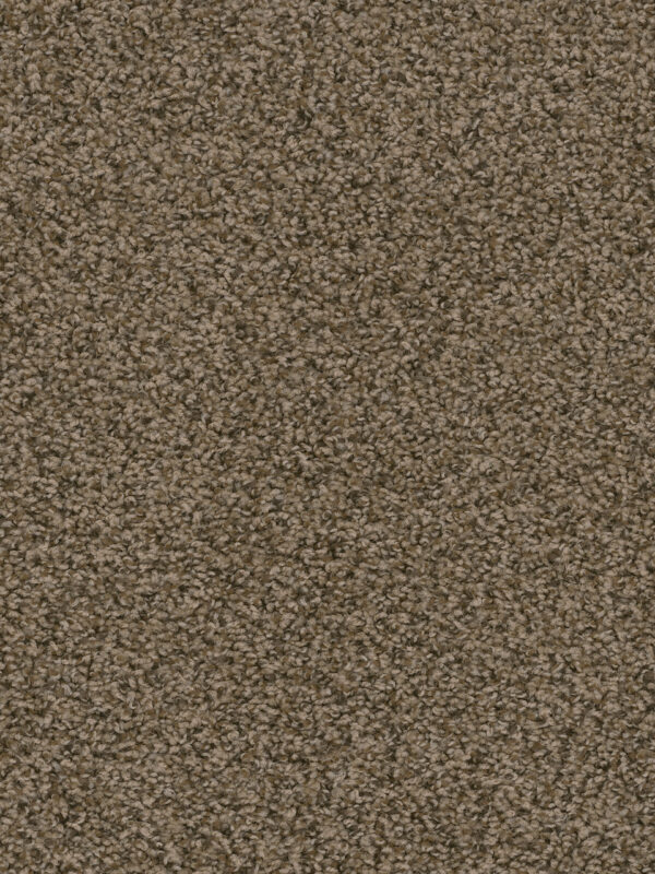 Dreamweaver Carpet Sweepstakes Agate Carpet 2200_512