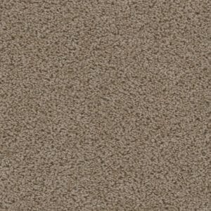 Dreamweaver Carpet Sweepstakes Doeskin Carpet 2200_530