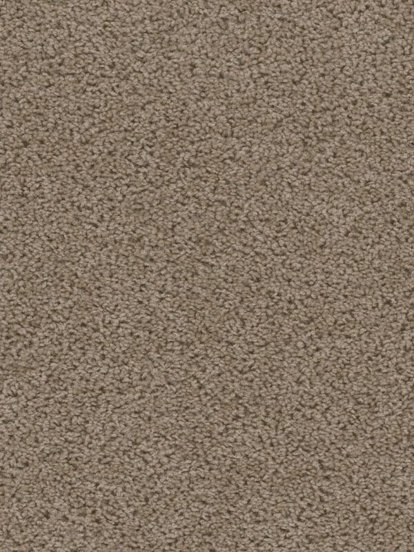 Dreamweaver Carpet Sweepstakes Doeskin Carpet 2200_530