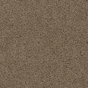 Dreamweaver Carpet Sweepstakes Taupe Carpet 2200_565
