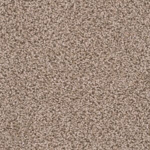 Dreamweaver Carpet Sweepstakes Claystone Carpet 2200_708
