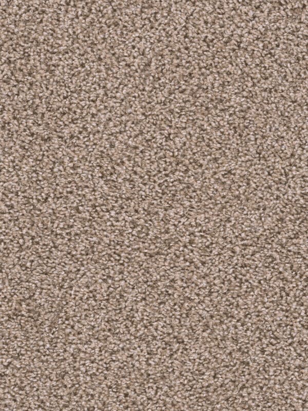 Dreamweaver Carpet Sweepstakes Claystone Carpet 2200_708