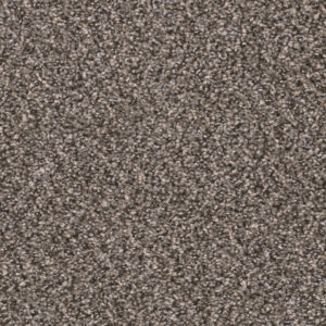 Dreamweaver Carpet Sweepstakes Ironside Carpet 2200_783