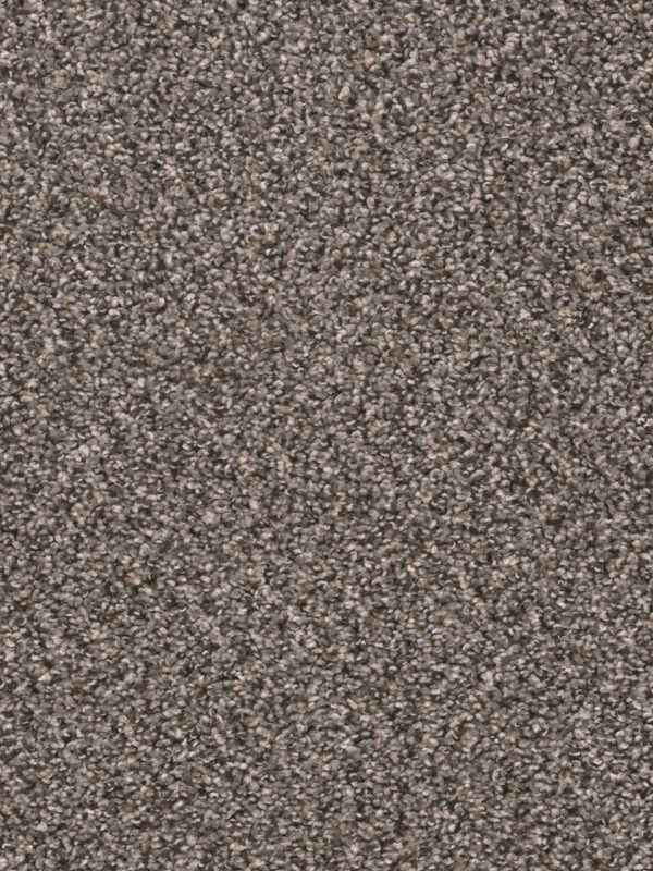 Dreamweaver Carpet Sweepstakes Ironside Carpet 2200_783