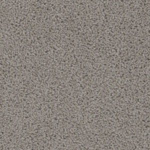 Dreamweaver Carpet Sweepstakes Chrome Carpet 2200_927